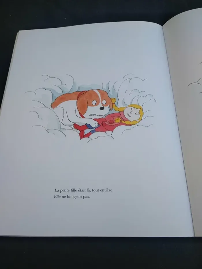 Livre Enfant Chien Bernard - photo numéro 3