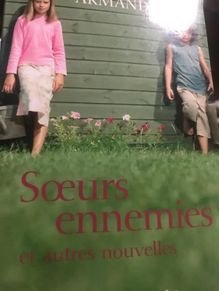 Livre sœurs ennemies 📕 - photo numéro 4