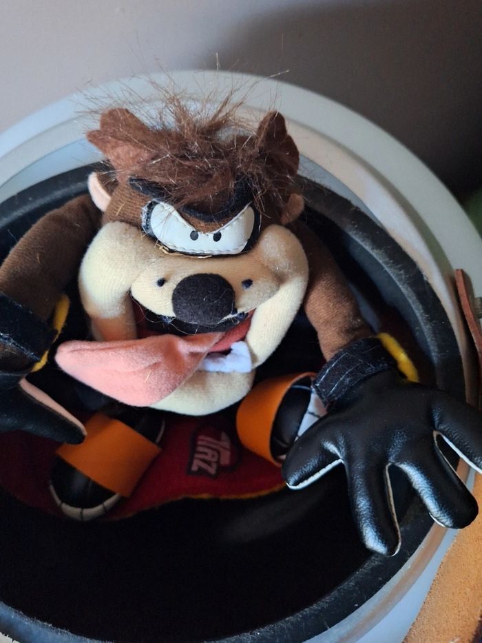 Taz sur son skate board - photo numéro 6