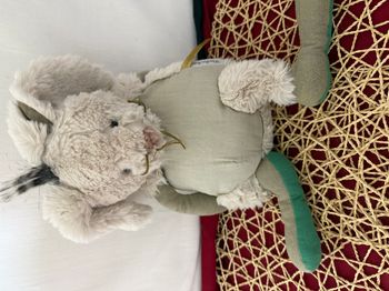 Lapin Neige Rendez-vous chemin du loup moulin roty