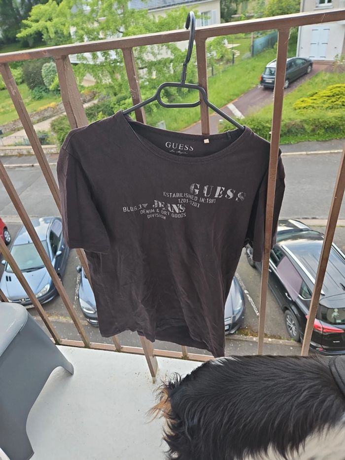 Tee shirt guess