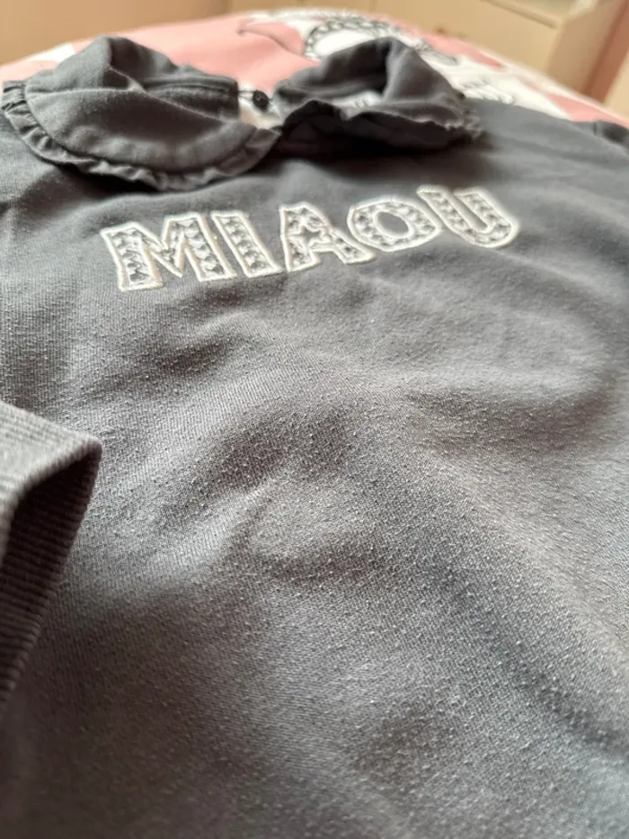 Pull miaou - photo numéro 2