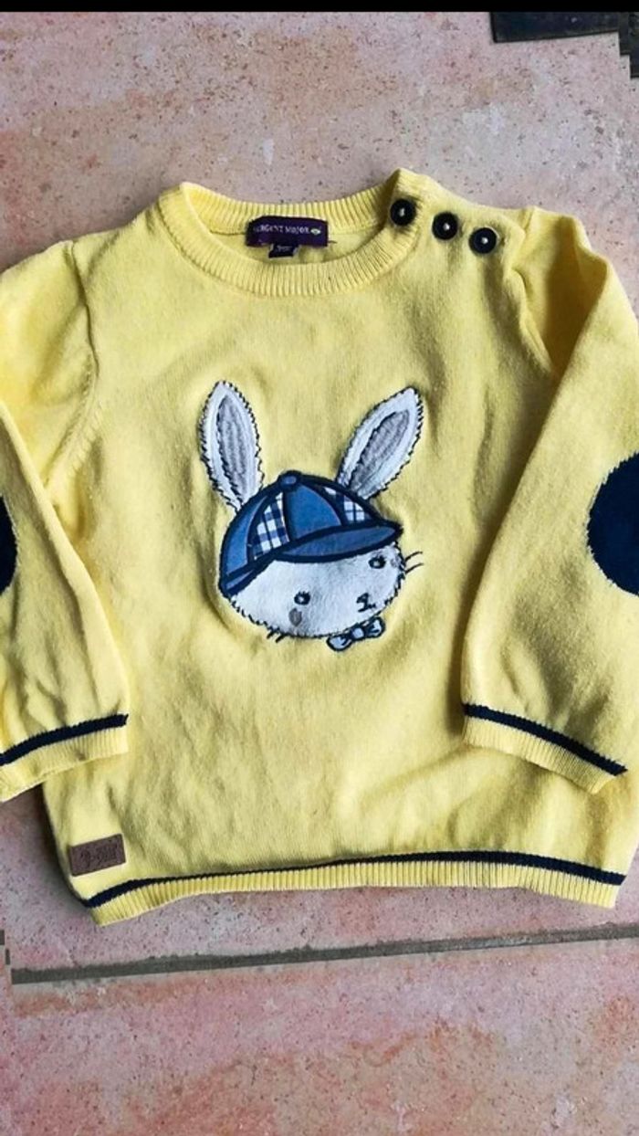 Pull lapin