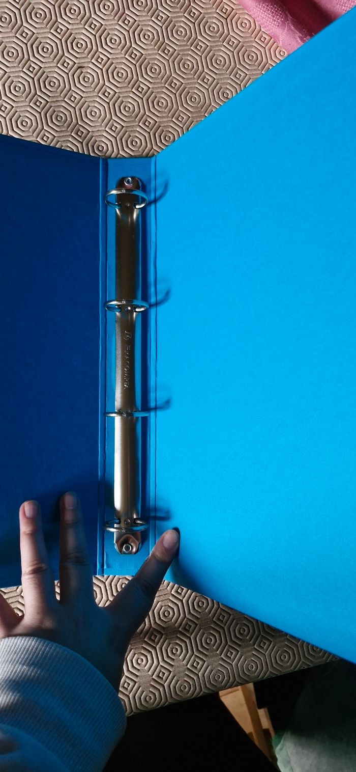 Classeur - photo numéro 3