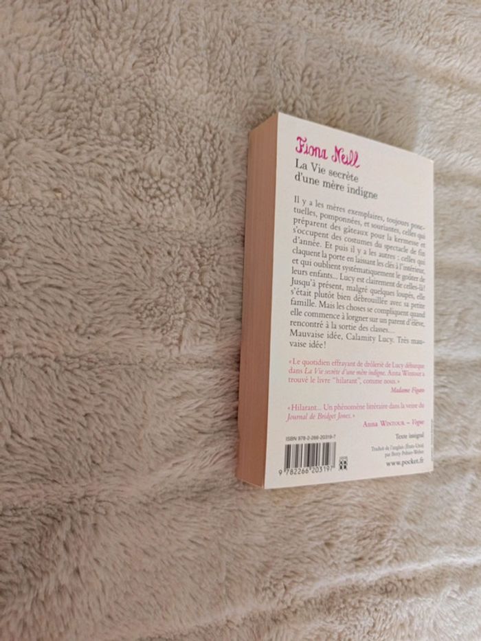 La vie secrète d'une mère indigne - photo numéro 3