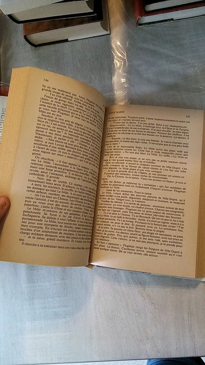 Anne Marie prix Goncourt - photo numéro 4