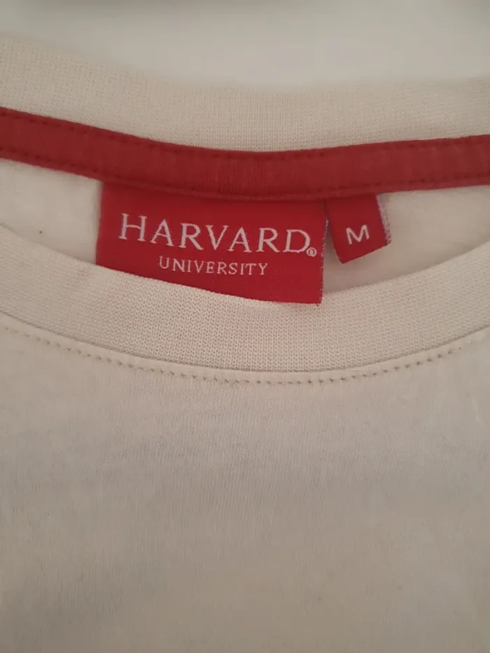 T-shirt beige Harvard - photo numéro 3
