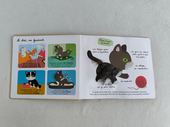 Livre Mes animaux familiers à toucher Milan - photo numéro 4