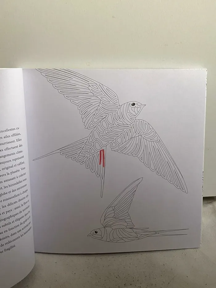 Livre de dessin a colorier - photo numéro 2