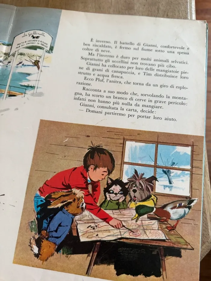 Livre Pierre Probst Caroline Fanfan ancien italien Gianni e l’ultimo lupo vintage - photo numéro 4