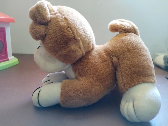 Peluche bulldog - photo numéro 2