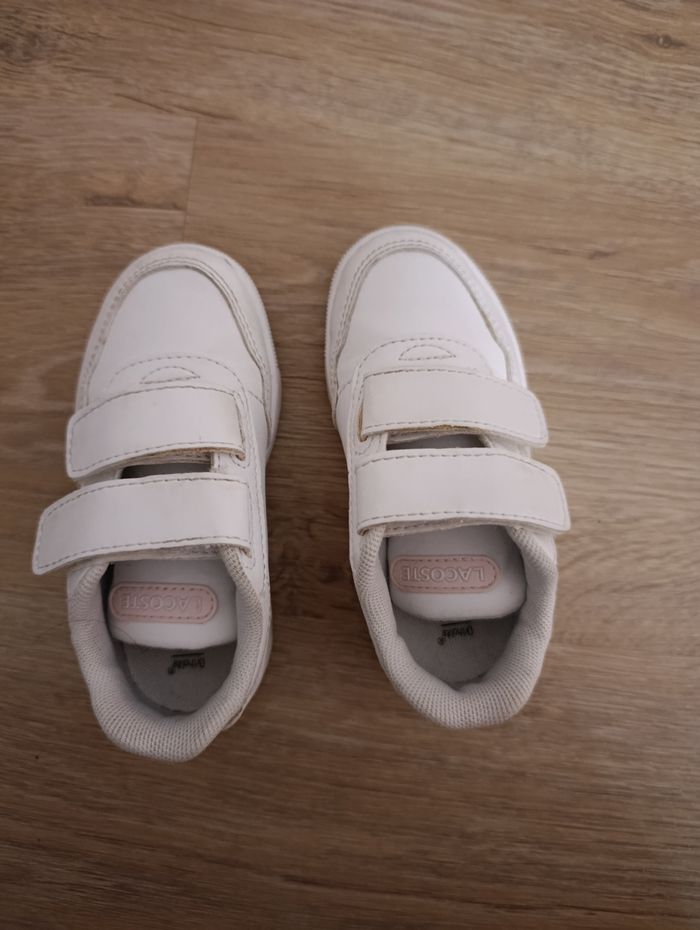 Basket Lacoste