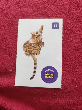 Autocollant nos amies les bêtes