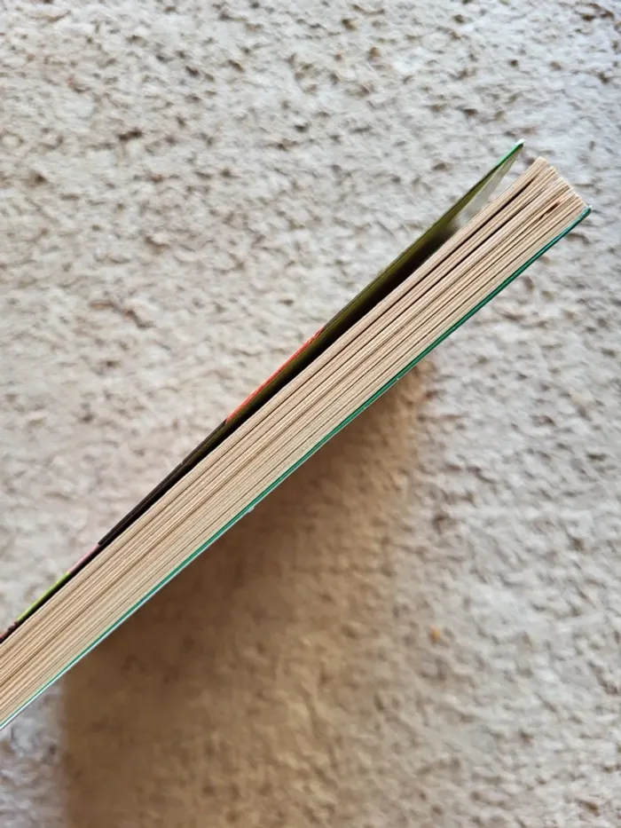 Roman jeunesse "Une amie d'enfer" de Jacqueline Wilson - photo numéro 3