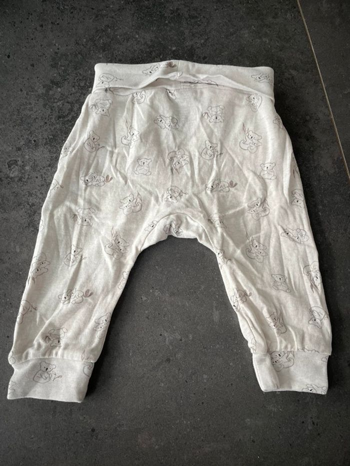 Sarouel - photo numéro 2