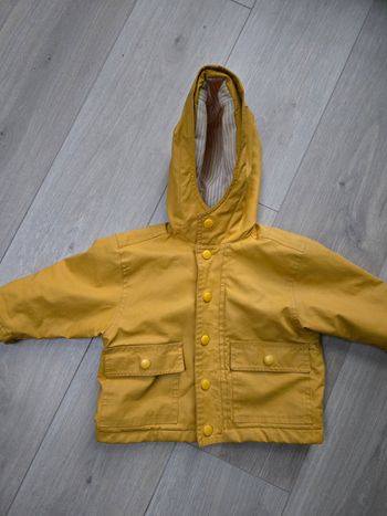 Ciré cyrillus 18 mois