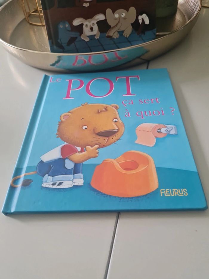 Lot 2 livres enfants en très bon etat - photo numéro 2