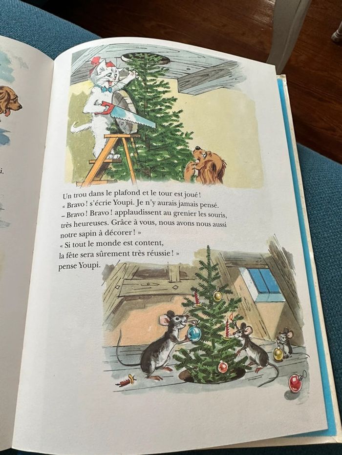 Grand album livre 156 pages Les Amis de Caroline Pierre Probst Hachette Jeunesse reliure bleu - photo numéro 11