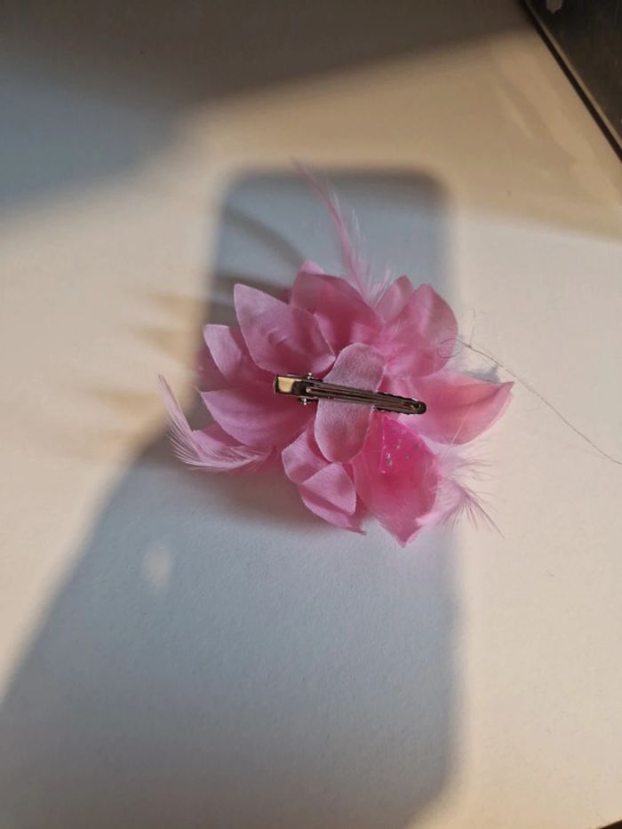 Pince cheveux - photo numéro 2