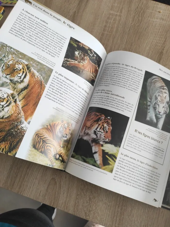 Livre édition atlas le tigre - photo numéro 4
