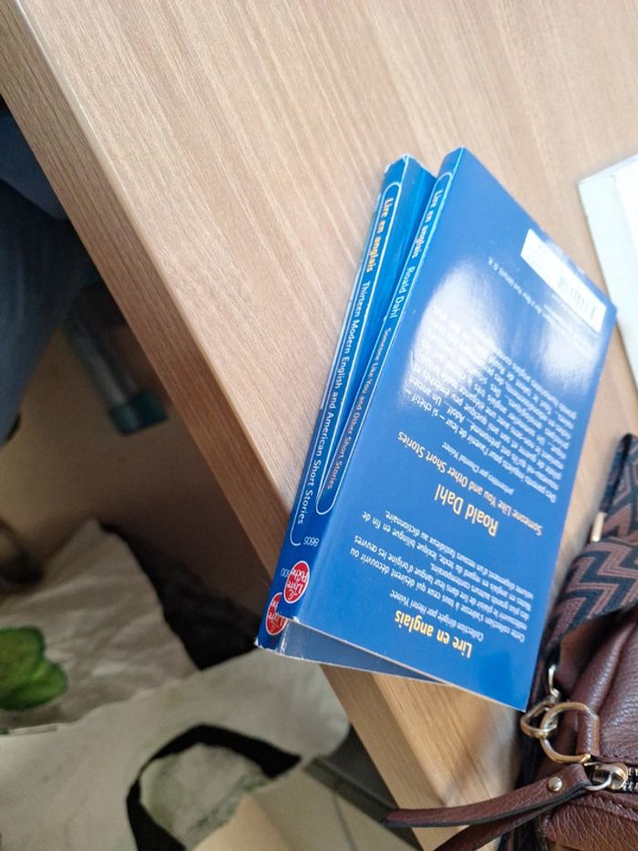 Lot 2 livre bilingues - photo numéro 7