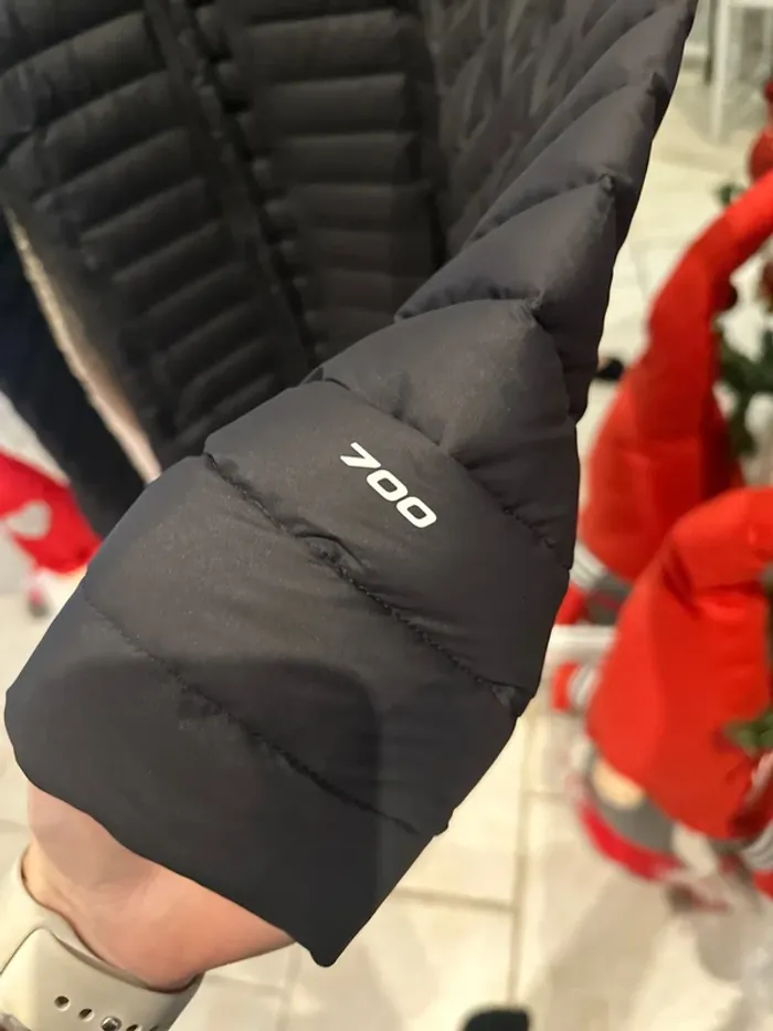 Veste ( Doudoune ) the North Face femme - photo numéro 5