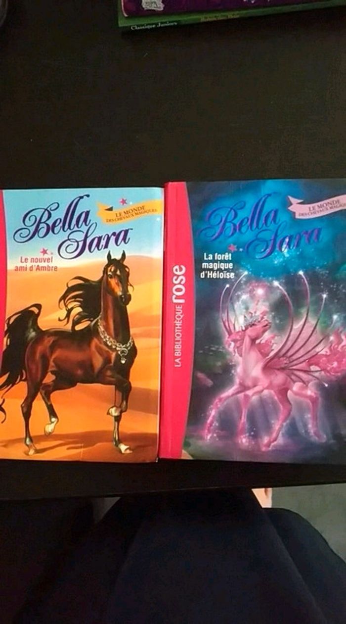 2 livres collection bibliothèque rose ( Belle Sara,)