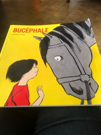 Livre enfant « Bucephale »