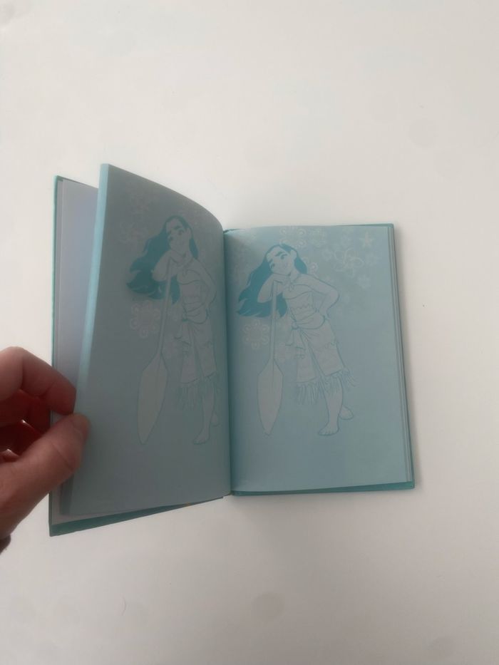 Carnet Vaiana - photo numéro 6