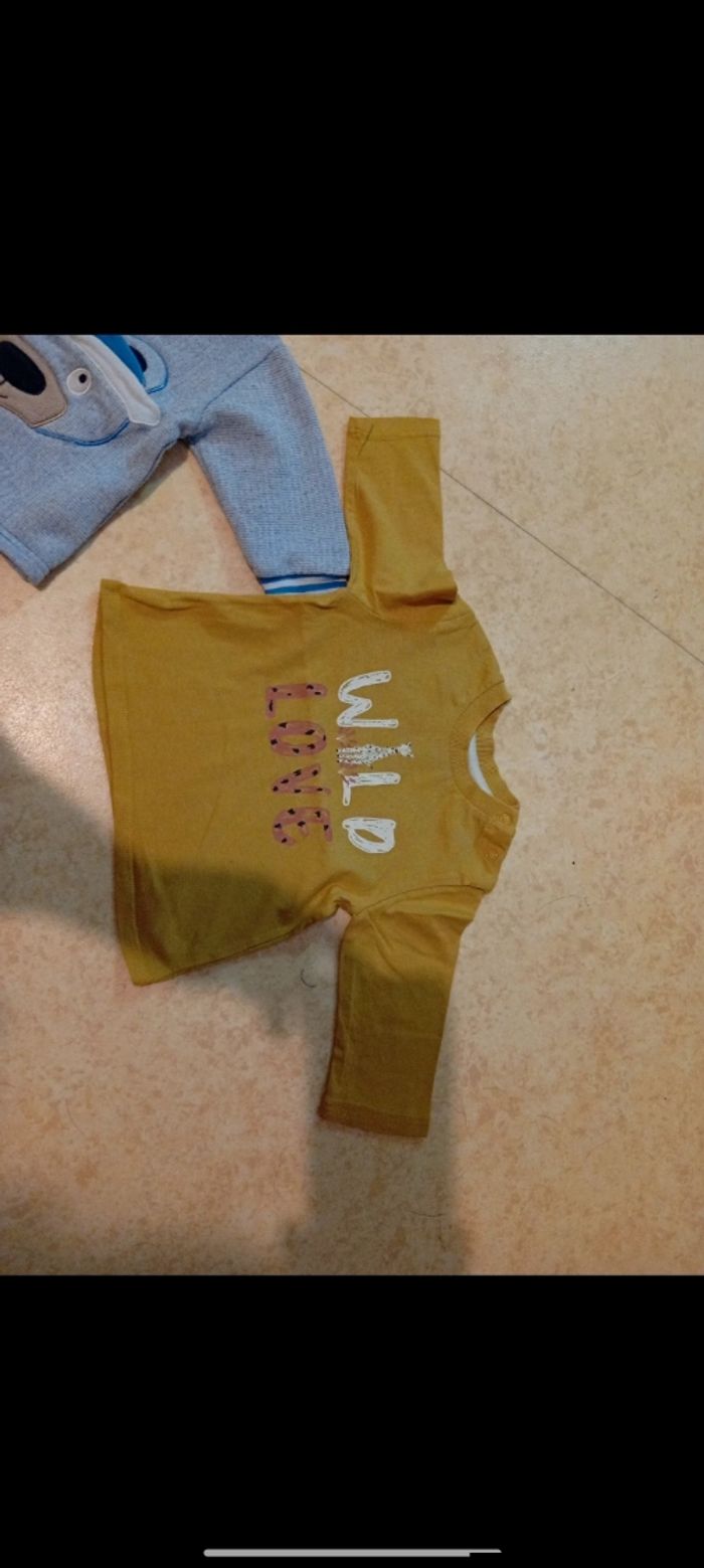 Lot haut manche longue taille 6 mois - photo numéro 3