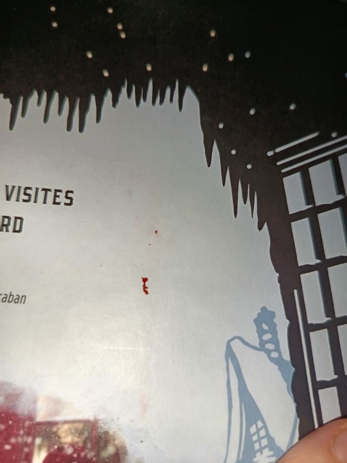 Livre Harry potter diorama - photo numéro 4