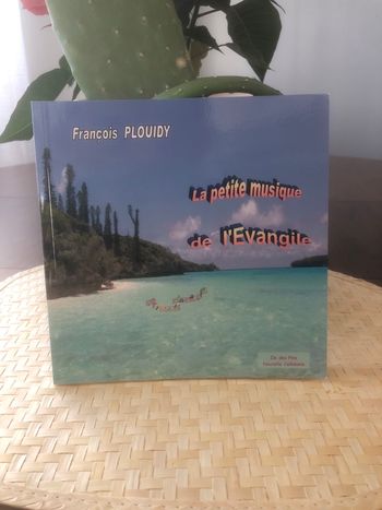 La petite musique de l’évangile - François Plouidy 