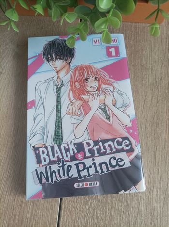 Manga Black prince et white prince numéro 1 soleil