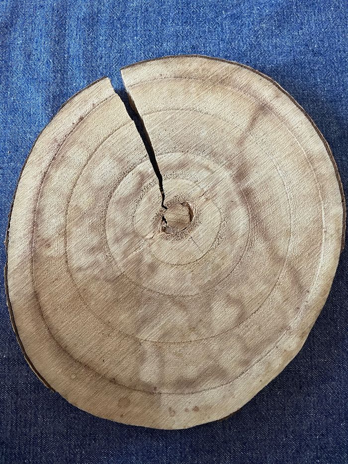 Lot de deco automne hiver bois centre de table - photo numéro 5