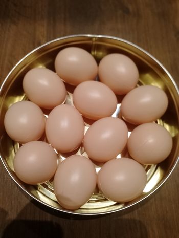 Lot de 12 oeufs pour dinette