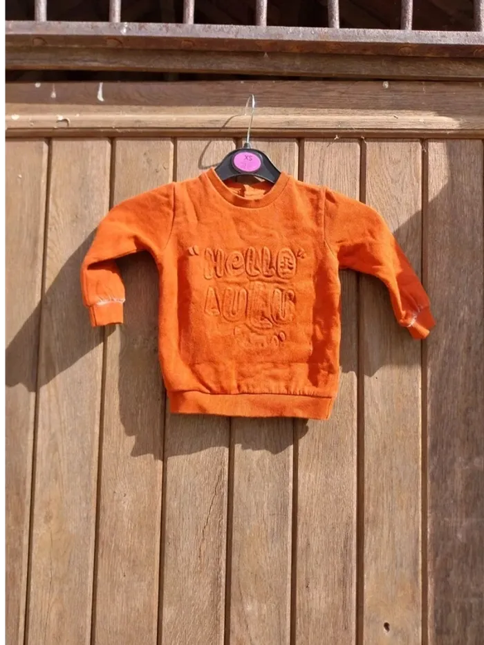 Pull Lulu castagnette 12 mois
