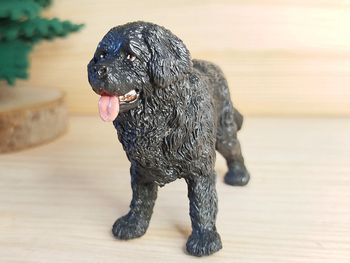 PAPO Chien noir Terre-neuve Animal domestique