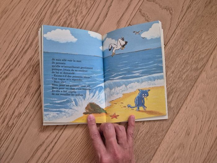 Livre Je suis un chat bleu 📚 - photo numéro 3