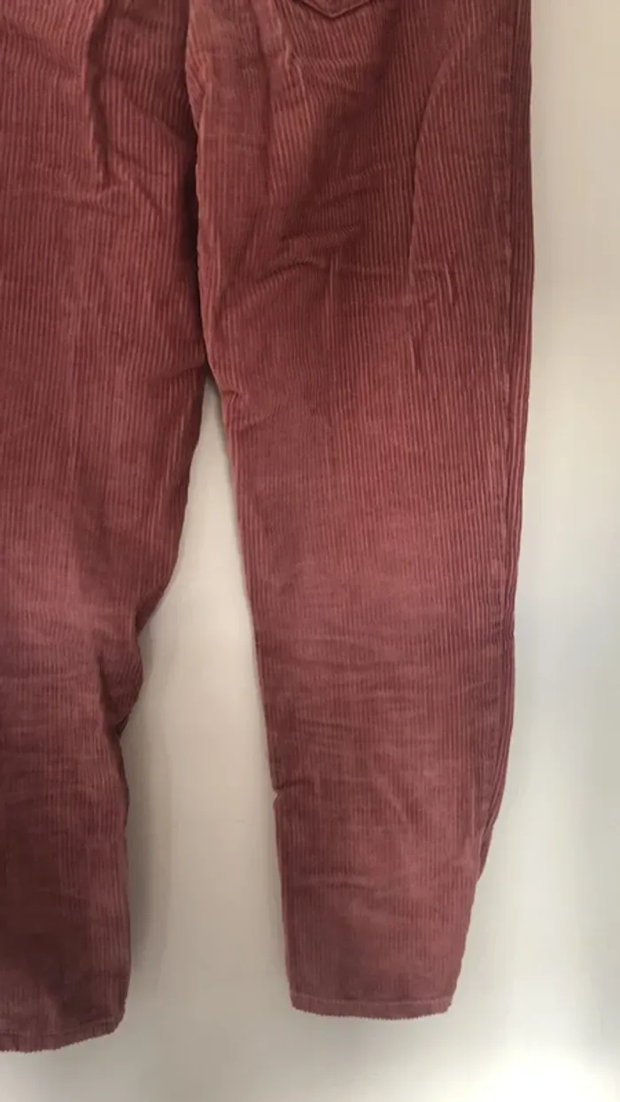 Pantalon velour bizzbee - photo numéro 10