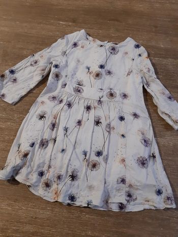 Robe beige Zara pissenlit fleurs beige violet rose poudrée manches longues