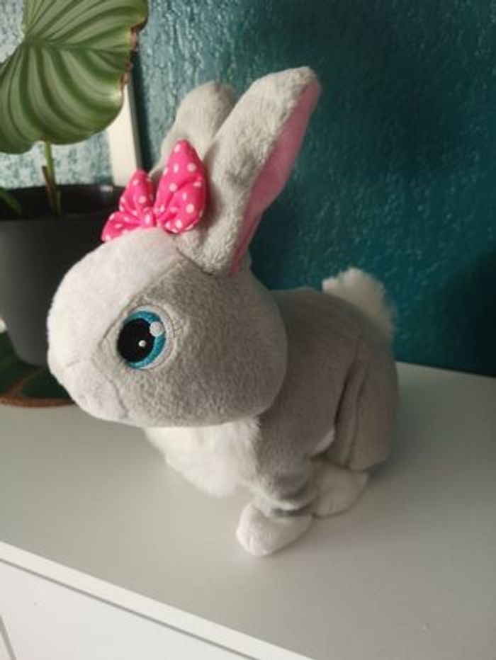 Lapin sauteur - photo numéro 5