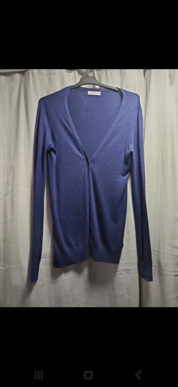 gilet