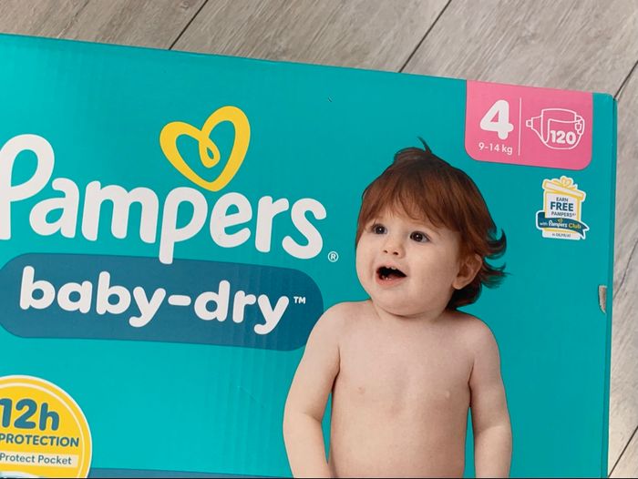 Couche Pampers babydry