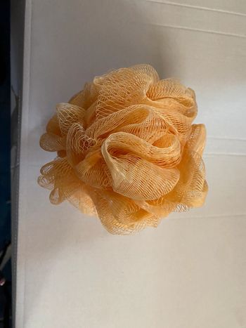 Fleur de douche