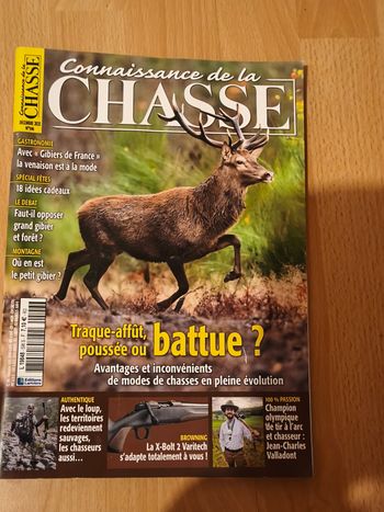 Magazine de chasse 