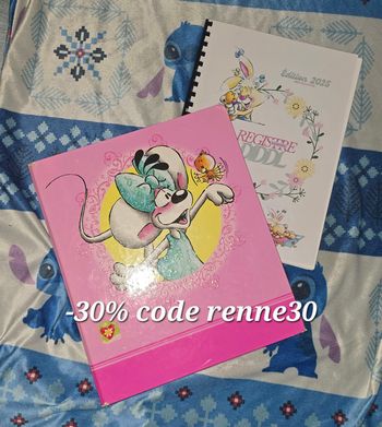 Lot diddl classeur et registre