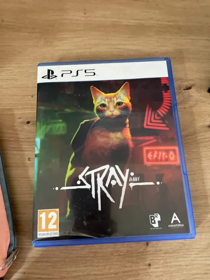 Jeux ps5 stray