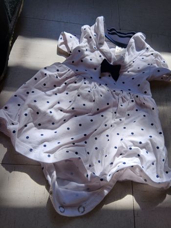 Bodies