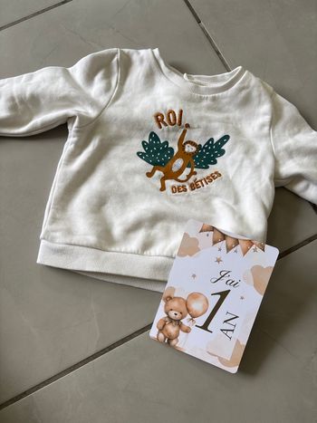 Pull 12 mois