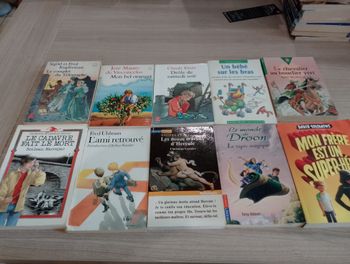 Lot de 10 livres de poches divers (7)